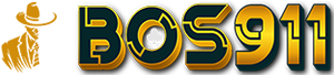 LOGO BOS911